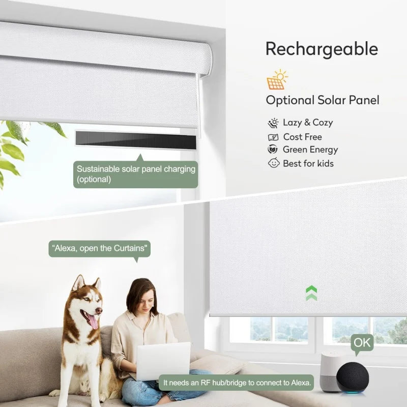 China Factory Wholesal 100% Waterproof Blackout Custom Size Wifi Alexa tuya Google Remote Control Smart Roller Blinds For Window